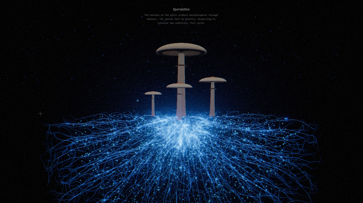 Psilocybe Cubensis